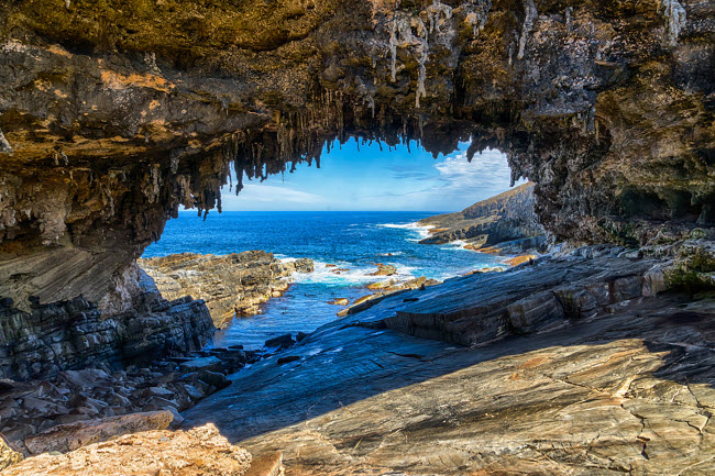 Admirals Arch, Australia: Hang động tr&ecirc;n đảo Kangaroo được h&igrave;nh qua qu&aacute; tr&igrave;nh x&oacute;i m&ograve;n k&eacute;o d&agrave;i h&agrave;ng ngh&igrave;n năm. C&aacute;c chu&ocirc;ng đ&aacute; tự nhi&ecirc;n treo tr&ecirc;n trần hang tạo n&ecirc;n phong cảnh kỳ vĩ ở nơi đ&acirc;y. Du kh&aacute;ch thỉnh thoảng c&oacute; thể bắt gặp hải cẩu v&agrave; sư tử biển tr&ecirc;n đảo.
