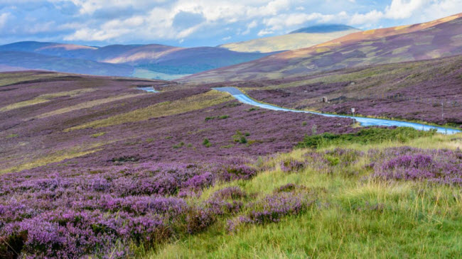Cairngorms, Scotland: Vườn quốc gia Cairngorms được đ&aacute;nh gi&aacute; l&agrave; một trong những địa điểm c&oacute; phong cảnh thi&ecirc;n nhi&ecirc;n nguy&ecirc;n sơ nhất ở Anh quốc.
