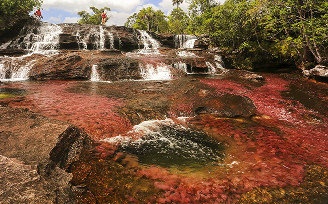 Ca&ntilde;o Cristales, Colombia: Được biết đến với t&ecirc;n gọi kh&aacute;c nhau l&agrave; cầu vồng lỏng, d&ograve;ng s&ocirc;ng 5 m&agrave;u, Ca&ntilde;o Cristales l&agrave; một trong những tuyến đường thủy kỳ lạ nhất thế giới.
