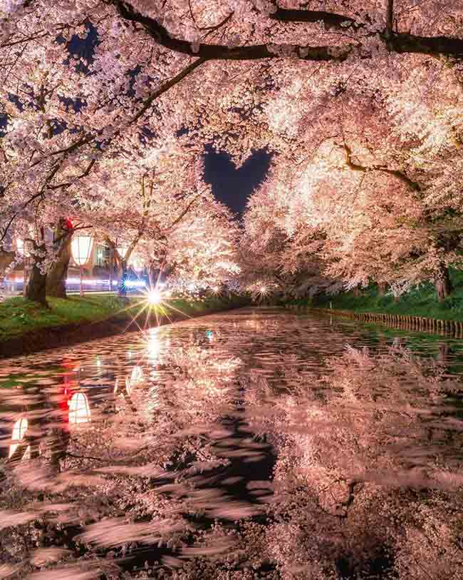 10. C&ocirc;ng vi&ecirc;n Hirosaki / Aomori

Đ&acirc;y l&agrave; nơi c&oacute; c&acirc;y anh đ&agrave;o Yoshino 120 tuổi, được cho l&agrave; l&acirc;u đời nhất Nhật Bản.&nbsp;Khoảng 2.600 c&acirc;y hoa anh đ&agrave;o kh&aacute;c sẽ nở rộ từ cuối th&aacute;ng 4 đến đầu th&aacute;ng 5 hằng năm.
