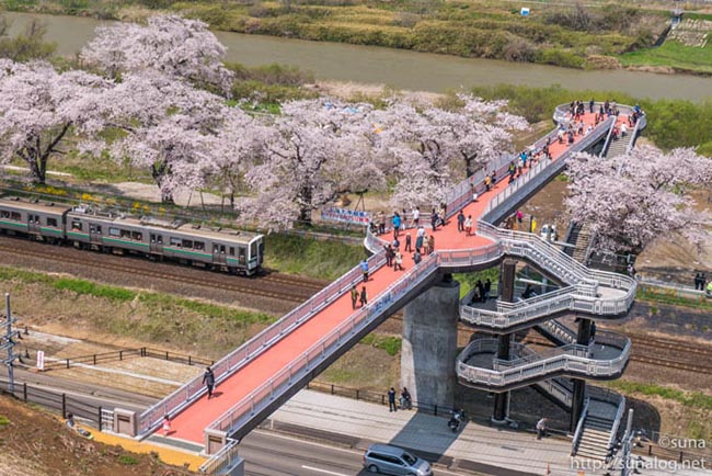 13. Thị trấn Shibata / Miyagi

Những bức ảnh chụp tại đ&acirc;y l&uacute;c n&agrave;o cũng khiến người kh&aacute;c trầm trồ.