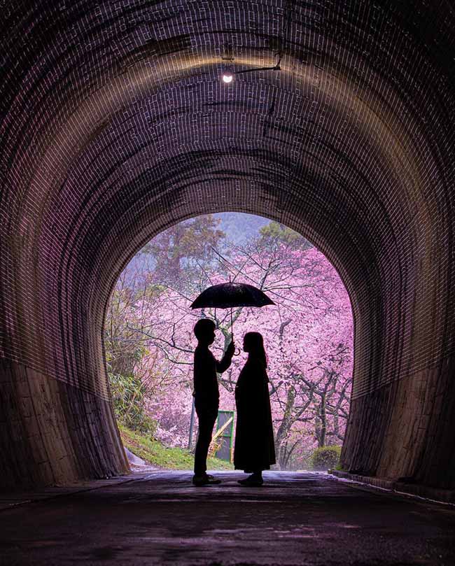 3. Nagashino Kawazu/ Aichi

Hiện nay, nhiều người đến để ngắm những c&acirc;y hoa anh đ&agrave;o Kawazu tuyệt đẹp. Bạn c&oacute; thể ngắm hoa anh đ&agrave;o qua đường hầm, khung cảnh hoa nở rộ ở cuối con đường sẽ khiến bạn cho&aacute;ng ngợp.