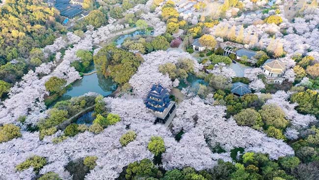 Vẻ đẹp thơ mộng v&agrave; đầy nghệ thuật của th&agrave;nh phố V&ocirc; T&iacute;ch, tỉnh Giang T&ocirc;, Trung Quốc c&oacute; thể s&aacute;ng ngang với H&agrave;ng Ch&acirc;u, bề d&agrave;y lịch sử kh&ocirc;ng thua g&igrave; Nam Kinh.
