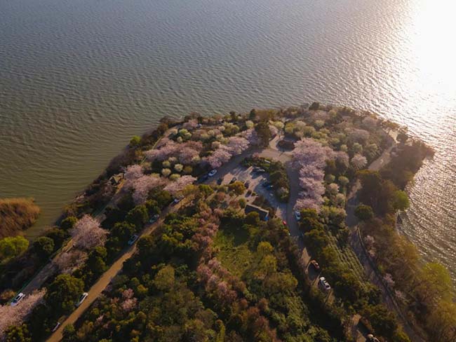 Nh&igrave;n từ tr&ecirc;n xuống, vịnh Hồng Sa giống như một b&aacute;n đảo nhỏ, thanh b&igrave;nh v&agrave; tuyệt đẹp.
