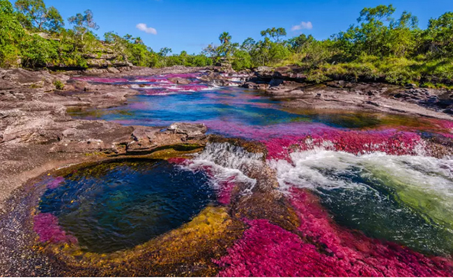 Ca&ntilde;o Cristales ở Colombia: L&agrave; một trong những kỳ quan sinh học hấp dẫn nhất của Colombia, Ca&ntilde;o Cristales nổi tiếng với nhiều t&ecirc;n gọi như &ldquo;d&ograve;ng s&ocirc;ng ngũ sắc&rdquo; hay &ldquo;d&ograve;ng s&ocirc;ng đẹp nhất thế giới&rdquo;.
