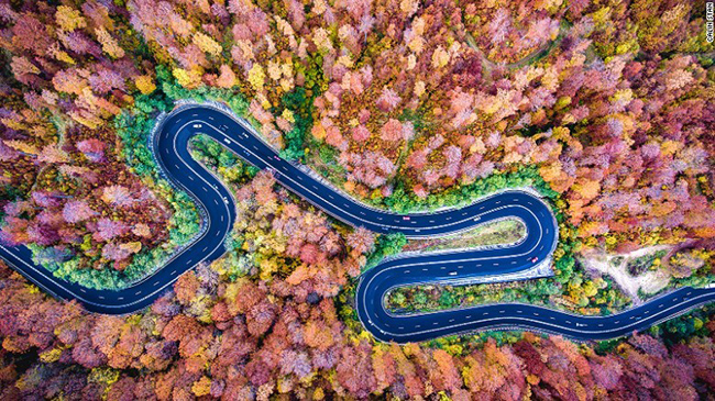 Đường cao tốc chạy qua rừng Bogata ở Romania: Con đường quanh co xuy&ecirc;n rừng Bogata ở Romania n&agrave;y, theo truyền thuyết l&agrave; nơi sinh ra huyền thoại h&uacute;t m&aacute;u Dracula.&nbsp;
