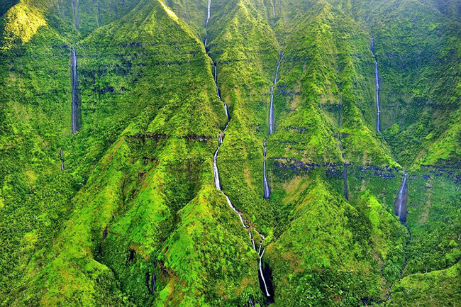 Weeping Wall, Kauai, Mỹ: Weeping Wall trên Đảo Kauai của Hawaii cực kỳ tươi tốt là nơi có một loạt thác nước hẹp đổ ầm ầm xuống Núi Waialeale tạo ra một cảnh tượng rất thú vị.