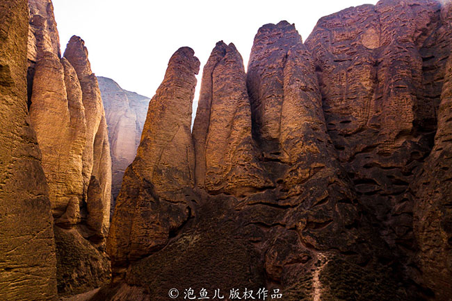 Càng đi vào hẻm núi, địa hình rừng đá càng kỳ vĩ, với những đỉnh núi kỳ lạ sừng sững nhiều hình dáng khác nhau.