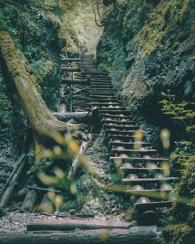 Vườn quốc gia Slovak Paradise, Slovakia: Với hơn 300km đường m&ograve;n,&nbsp;đ&acirc;y l&agrave; một trong những nơi tuyệt&nbsp;nhất để trải nghiệm thi&ecirc;n nhi&ecirc;n ở Slovakia v&agrave; đừng qu&ecirc;n gh&eacute; thăm một số hang động ấn tượng tại đ&acirc;y.

