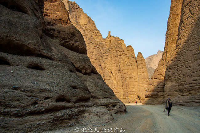 Rừng đá Hoàng Hà là một khu vực có địa hình rất ngoạn mục và nguy hiểm. Nó nằm ở làng Long Loan, thị trấn Trung Thuyên, huyện Cảnh Thái, tỉnh Cam Túc. Khi sông Hoàng Hà chảy qua đây từ phía đông nam, nó bị chặn lại và hình thành từ thế Pleistocen sớm (thế Cánh Tân – một thế địa chất) của sông băng, sau đó chảy về phía bắc đến Ninh Hạ, đột ngột cắt ra một hẻm núi.