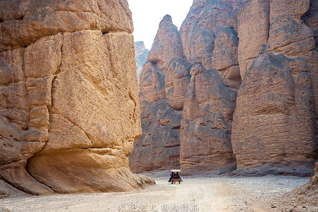 Đỉnh cao nhất trong rừng đá Hoàng Hà là đỉnh Damaohuai, với độ cao 3017m và điểm thấp nhất là thung lũng sông Hoàng Hà với độ cao 1480m. Trong khu vực này có một đoạn đường chuyên để chạy việt dã.