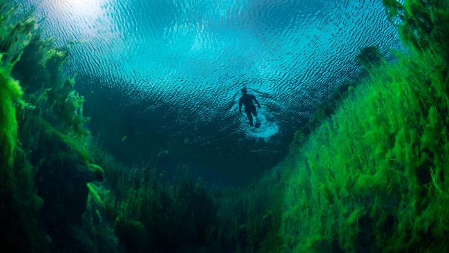 Piccaninnie Ponds - Nam &Uacute;c: Được lặn dưới bề mặt của những v&ugrave;ng đất ngập nước ngọt như ở một thế giới kh&aacute;c n&agrave;y l&agrave; trải nghiệm kỳ lạ nhưng rất kh&oacute; qu&ecirc;n.&nbsp;