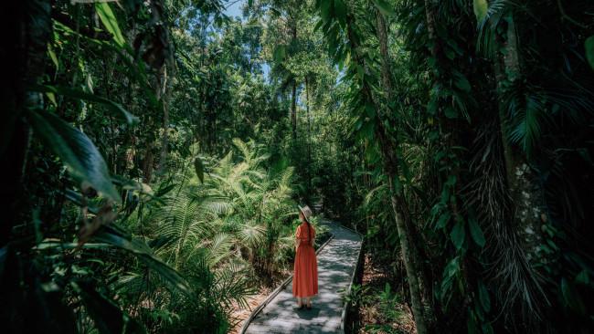 Rừng nhiệt đới Daintree - Queensland: H&atilde;y cảm nhận trải nghiệm&nbsp;th&uacute; vị ngập tr&agrave;n m&agrave;u xanh khi bạn bước v&agrave;o Daintree - khu rừng nhiệt đới cổ xưa nhất thế giới.&nbsp;