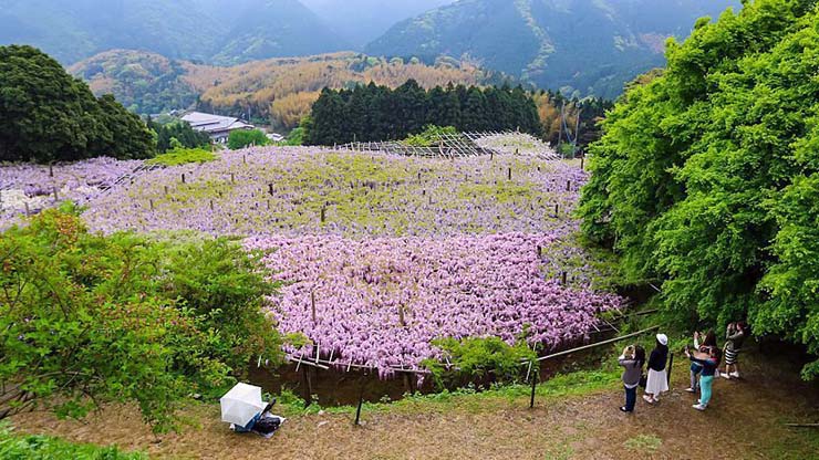 4. Địa điểm n&agrave;y nằm ở tỉnh Fukuoka, ngay b&ecirc;n ngo&agrave;i thị trấn Kitakyushu.
