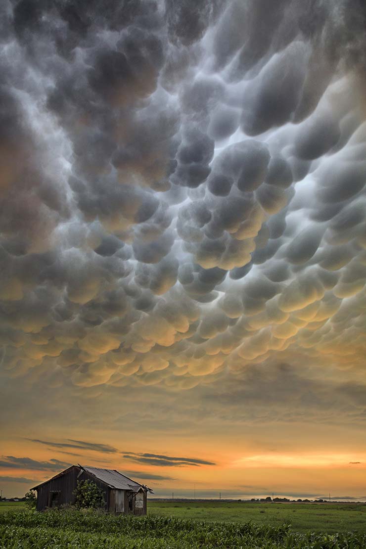 15. Những đám mây Mammatus hình thành khi không khí mát chứa đầy băng tuyết tiếp xúc với không khí ẩm, kết quả tạo ra những đám bây trông như kẹo bông trên bầu trời. Ảnh được chụp tại vùng đồng bằng ở Georgetown, Texas, Mỹ.