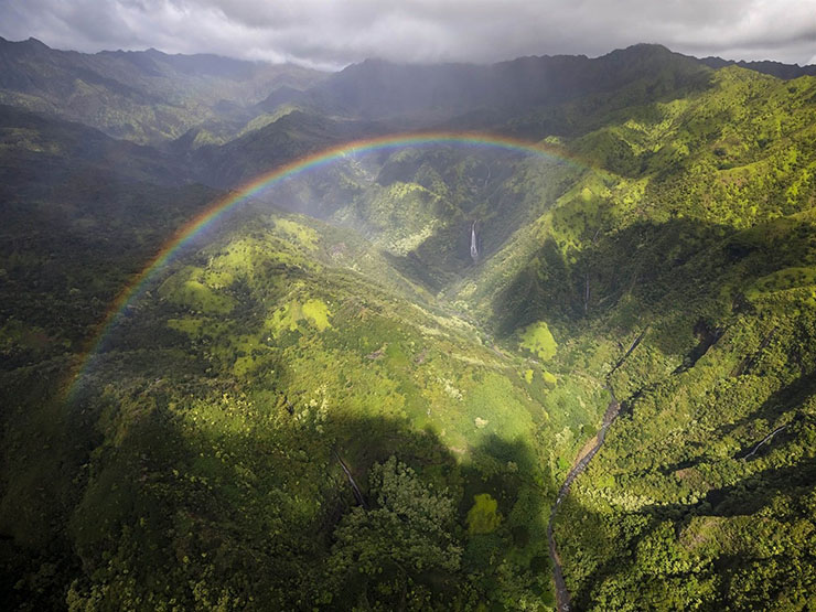 8. Ảnh chụp từ trên cao của khu rừng mưa nhiệt đới Hawaii ở đảo Kauai, Hawaii.