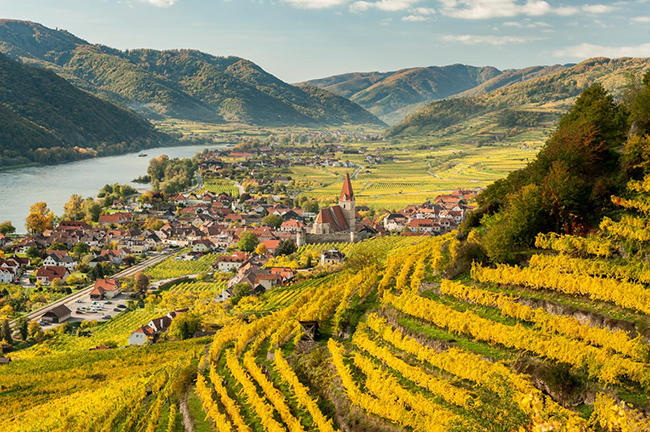 Tour Thung Lũng Wachau v&agrave;&nbsp;nếm rượu: H&atilde;y tự thưởng cho m&igrave;nh một trải nghiệm độc đ&aacute;o với một ng&agrave;y kh&aacute;m ph&aacute; v&agrave; nếm thử rượu ở c&aacute;c thung lũng Wachau v&agrave; Danube. Bạn sẽ rời thủ đ&ocirc; của &Aacute;o bằng xe bu&yacute;t v&agrave; tận hưởng chuyến du thuyền l&atilde;ng mạn tr&ecirc;n s&ocirc;ng Danube.&nbsp;
