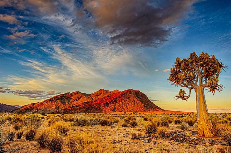 10. Sa mạc Kalahari, Nam Phi

Trải d&agrave;i tr&ecirc;n Botswana - một phần của Namibia v&agrave; Nam Phi, Kalahari l&agrave; sa mạc lớn nhất miền nam ch&acirc;u Phi. C&aacute;c lo&agrave;i thực vật chủ yếu ở đ&acirc;y l&agrave; xương rồng Hoodia v&agrave; c&acirc;y camelthorn (một loại c&acirc;y keo l&agrave; nguồn cung cấp thức ăn v&agrave; b&oacute;ng m&aacute;t cho động vật hoang d&atilde;).

