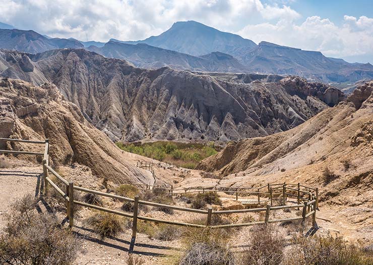 15. Sa mạc Tabernas, T&acirc;y Ban Nha

Sa mạc ở đ&acirc;y c&oacute; lượng mưa dồi d&agrave;o, biến những v&ugrave;ng đất xấu trở n&ecirc;n tươi tốt hơn. V&agrave;o m&ugrave;a đ&ocirc;ng, những lo&agrave;i hoa dại m&agrave;u trắng mọc rải r&aacute;c tr&ecirc;n c&aacute;c v&ugrave;ng đất kh&ocirc; cằn. Động vật ở đ&acirc;y cũng rất đa dạng, ếch, c&oacute;c, r&ugrave;a thường sống trong c&aacute;c v&ugrave;ng đất ngập nước, trong khi rắn, thằn lằn xanh, bọ cạp thường lẩn trốn trong c&aacute;t.
