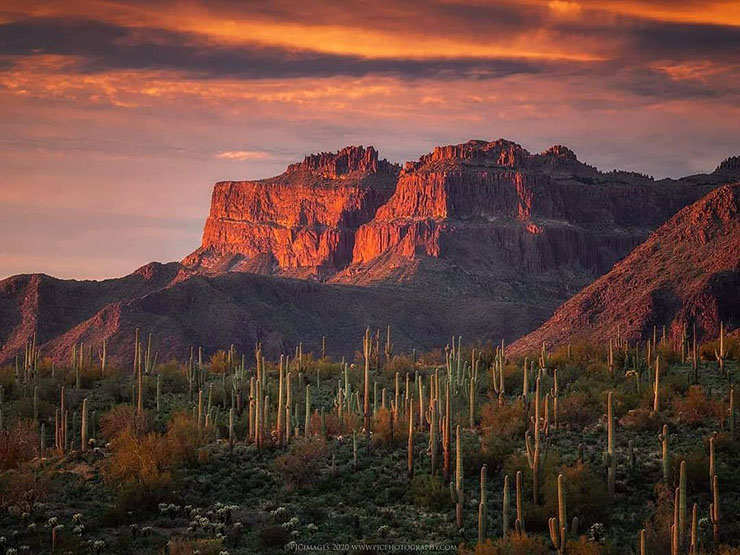 2. Sa mạc Sonoran, Mỹ v&agrave; Mexico

Sa mạc Sonoran l&agrave; một khu vực rộng lớn với kh&iacute; hậu, địa chất, thảm thực vật v&agrave; động vật hoang d&atilde; đặc biệt. Xương rồng saguaro l&agrave; lo&agrave;i c&acirc;y mang t&iacute;nh biểu tượng của nơi n&agrave;y. C&oacute; rất nhiều động vật hoang d&atilde; như thằn lằn, r&ugrave;a cạn, b&ograve; cạp, s&oacute;i, linh mi&ecirc;u&hellip; sống tại đ&acirc;y.
