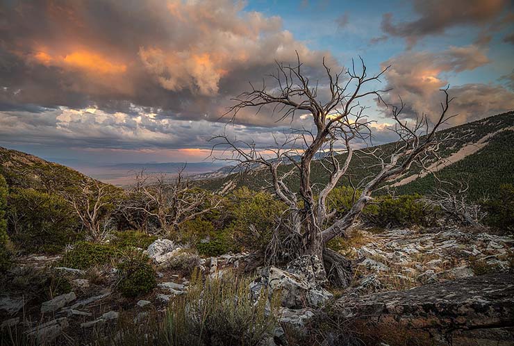3. Sa mạc Great Basin, Mỹ

Đ&acirc;y l&agrave; sa mạc lạnh gi&aacute; duy nhất ở Bắc Mỹ, m&ugrave;a h&egrave; th&igrave; n&oacute;ng nực, m&ugrave;a đ&ocirc;ng th&igrave; cực kỳ lạnh. Great Basin l&agrave; nơi sinh sống của hươu, nai v&agrave; linh dương&hellip;
