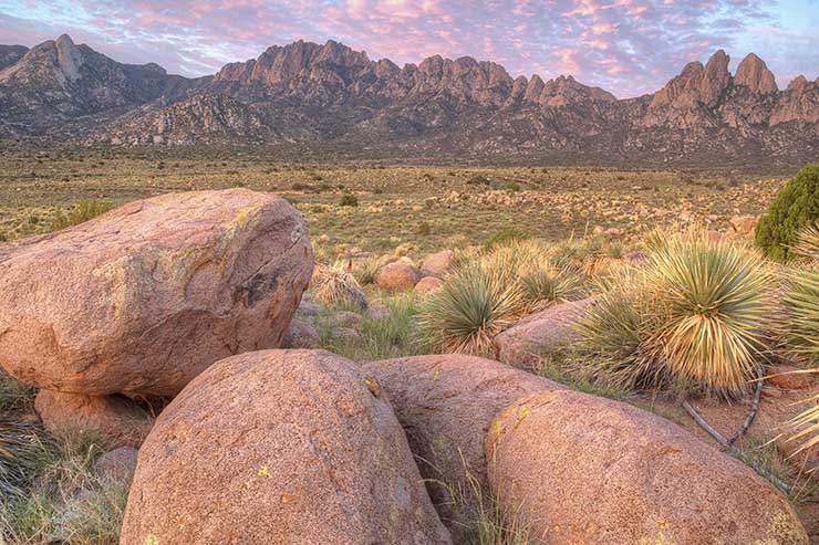 4. Sa mạc Chihuahuan, Mỹ v&agrave; Mexico

Sa mạc n&agrave;y trải d&agrave;i qua bi&ecirc;n giới giữa Mỹ v&agrave; Mexico, n&oacute; l&agrave; sa mạc c&oacute; hệ sinh th&aacute;i đa dạng nhất ở T&acirc;y b&aacute;n cầu v&agrave; lớn nhất ở Bắc Mỹ. C&oacute; hơn 400 lo&agrave;i xương rồng kh&aacute;c nhau sinh trưởng tại đ&acirc;y v&agrave; nhiều lo&agrave;i động vật hoang d&atilde; c&oacute; nguy cơ tuyệt chủng.
