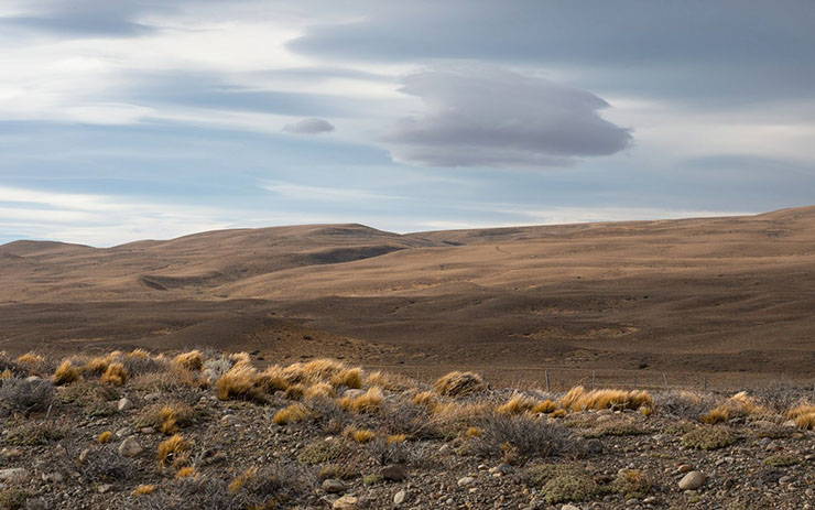 7. Sa mạc Patagonian, Argentina

Sa mạc Patagonia l&agrave; một nơi c&oacute; kh&iacute; hậu lạnh gi&aacute; do ảnh hưởng từ d&atilde;y n&uacute;i Andes v&agrave; bờ biển Đại T&acirc;y Dương gần đ&oacute;. C&oacute; một số v&ugrave;ng đất kh&ocirc; cằn đầy đ&aacute; sỏi, nhưng cũng c&oacute; những nơi kh&aacute;c được bao phủ trong c&acirc;y bụi, gi&oacute; v&agrave; sương gi&aacute; quanh năm.
