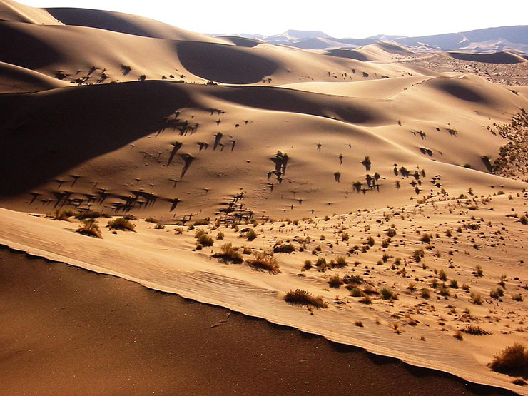 9. Sa mạc Namib, Namibia

Cảnh quan của sa mạc n&agrave;y chủ yếu l&agrave; c&aacute;t, đ&aacute; v&agrave; những v&aacute;ch n&uacute;i trải d&agrave;i. Nơi đ&acirc;y tiếp gi&aacute;p với bờ biển Skeleton, nổi tiếng với những vụ đắm t&agrave;u do s&oacute;ng biển mạnh v&agrave; sương m&ugrave; d&agrave;y đặc. Sương m&ugrave; phần n&agrave;o khiến cho một phần sa mạc kh&ocirc; cằn gần đ&oacute; c&oacute; sự sống hơn.
