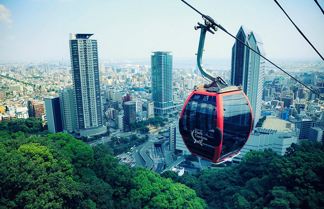 Shin-Kobe Ropeway l&agrave; 1 trong 3 dịch vụ c&aacute;p treo ở Kobe đưa du kh&aacute;ch l&ecirc;n sườn ph&iacute;a nam của d&atilde;y n&uacute;i Rokko. L&ecirc;n cao hơn một ch&uacute;t, c&aacute;p treo sẽ băng qua th&aacute;c Nunobiki v&agrave; vườn thảo mộc Nunobiki Kobe, mang đến cho du kh&aacute;ch một khung cảnh thi&ecirc;n nhi&ecirc;n tuyệt vời từ tr&ecirc;n cao.&nbsp;

