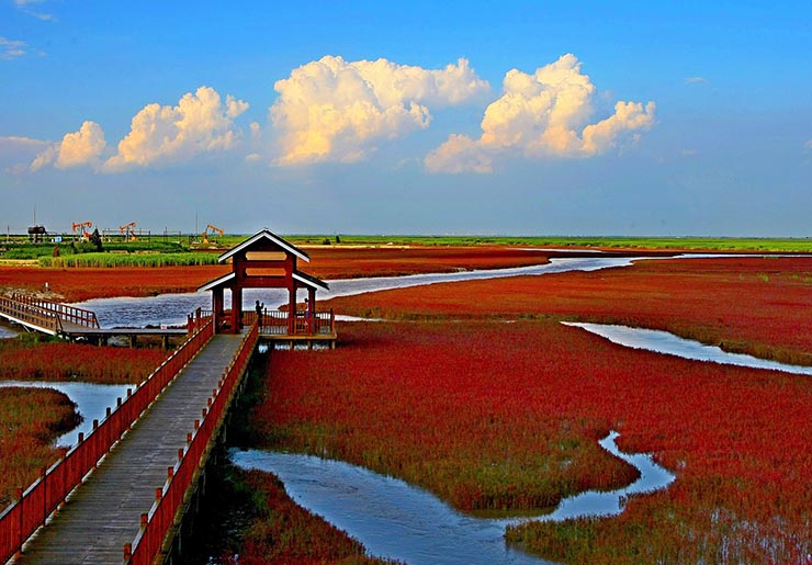 4. Biển Đỏ ở Panjin, Trung Quốc, c&oacute; m&agrave;u đỏ thẫm đặc trưng do một loại cỏ đặc biệt c&oacute; t&ecirc;n seepweed suaeda, n&oacute; ph&aacute;t triển mạnh trong những v&ugrave;ng đất c&oacute; kiềm.

Khu vực xung quanh Biển Đỏ c&ograve;n được biết đến l&agrave; nơi sinh sống của một trong những lo&agrave;i sếu hiếm nhất tr&ecirc;n thế giới, sếu đầu đỏ.
