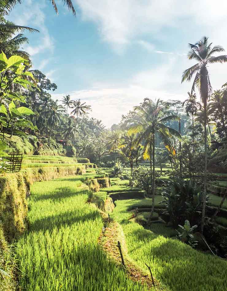 10. Thời tiết ở Bali rất n&oacute;ng v&agrave; ẩm ướt, trong khi nơi n&agrave;y lại l&agrave; một trong những điểm thu h&uacute;t du kh&aacute;ch ch&iacute;nh tr&ecirc;n đảo. V&igrave; thế, để tr&aacute;nh được c&aacute;i n&oacute;ng v&agrave; cả đ&aacute;m đ&ocirc;ng, bạn n&ecirc;n đi v&agrave;o l&uacute;c s&aacute;ng sớm.
