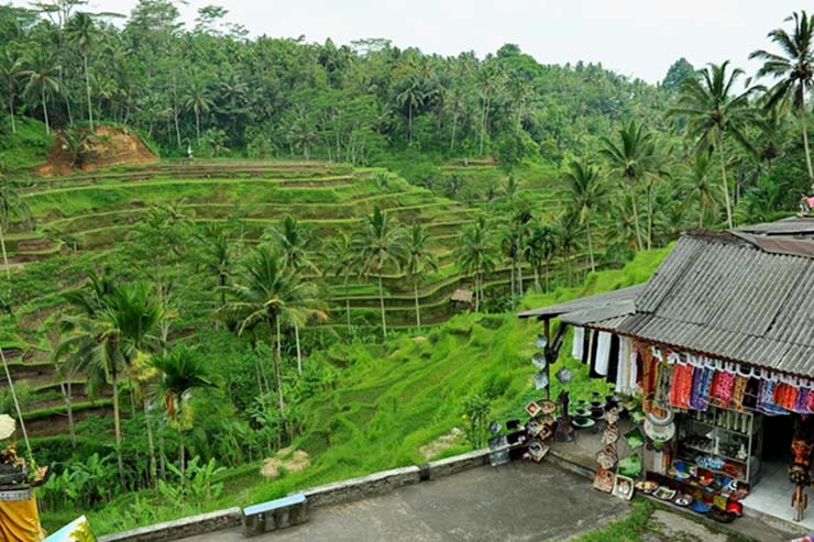 11. C&oacute; c&aacute;c cửa h&agrave;ng v&agrave; qu&aacute;n c&agrave; ph&ecirc; gần đ&oacute;, nằm tr&ecirc;n con đường ch&iacute;nh, nhưng khi v&agrave;o b&ecirc;n trong c&aacute;nh đồng l&uacute;a th&igrave; kh&ocirc;ng c&oacute; dịch vụ n&agrave;o c&oacute; sẵn cả. V&igrave; vậy, nếu c&oacute; &yacute; định ở lại l&acirc;u hơn, bạn c&oacute; thể mang theo nước v&agrave; đồ ăn vặt.
