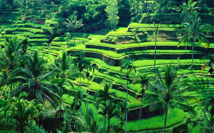 13. V&igrave; l&agrave; một điểm du lịch h&uacute;t kh&aacute;ch v&agrave; bị khai th&aacute;c qu&aacute; mức n&ecirc;n sẽ kh&ocirc;ng tr&aacute;nh khỏi việc bạn c&oacute; thể bị người d&acirc;n địa phương quấy rầy, chẳng hạn như y&ecirc;u cầu mua nước, mũ, đồ lưu niệm.
