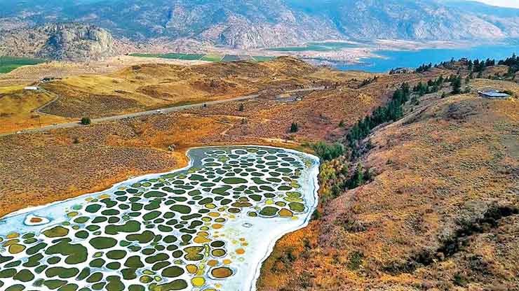 5. Những vũng nước nhỏ trong hồ Spotted l&agrave; kết quả của việc nồng độ c&aacute;c kho&aacute;ng chất tăng cao bao gồm canxi, natri sunphat v&agrave; magie sunphat t&iacute;ch tụ trong nước.&nbsp;
