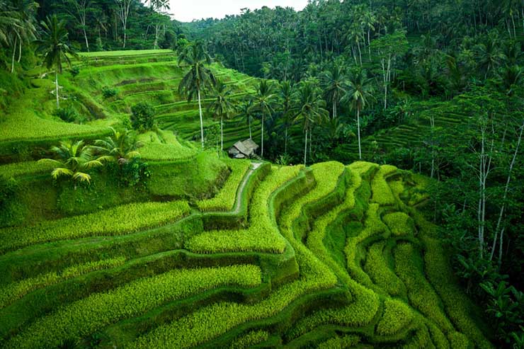 6. Tr&ecirc;n đường đến c&aacute;nh đồng l&uacute;a, nằm dọc theo con đường c&oacute; v&agrave;i căn lều gỗ nhỏ, người d&acirc;n địa phương sẽ y&ecirc;u cầu bạn đ&oacute;ng g&oacute;p một &iacute;t ph&iacute; để v&agrave;o b&ecirc;n trong tham quan.
