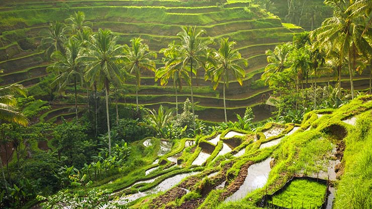 7. Đ&acirc;y kh&ocirc;ng phải l&agrave; ph&iacute; v&agrave;o cửa, nếu bạn đến sớm trước khi c&oacute; người d&acirc;n địa phương tới th&igrave; kh&ocirc;ng phải trả ph&iacute; n&agrave;y. Tuy nhi&ecirc;n, đ&acirc;y chỉ l&agrave; một khoản quy&ecirc;n g&oacute;p cho người d&acirc;n địa phương, t&ugrave;y v&agrave;o l&ograve;ng hảo t&acirc;m của bạn.
