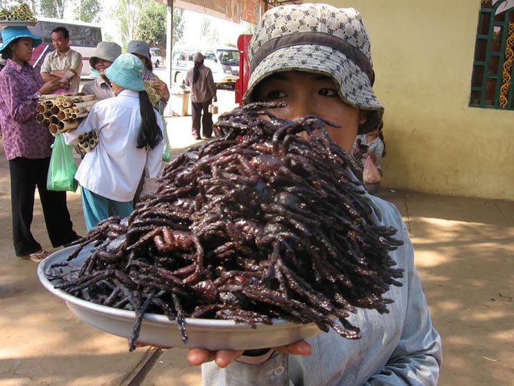 6. Nhện chi&ecirc;n:

Đ&acirc;y l&agrave; m&oacute;n ăn phổ biến ở thị trấn Skuon của Campuchia. Người ta sẽ ướp nhện với bột ngọt, đường, muối, phi tỏi cho thơm rồi chi&ecirc;n gi&ograve;n. Nhện c&oacute; nhiều thịt hơn&nbsp;ch&acirc;u chấu, được nhận x&eacute;t ngon hơn hẳn.