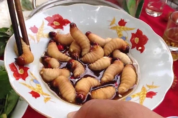 9. Đu&ocirc;ng dừa tắm mắm

M&oacute;n ăn của Việt Nam n&agrave;y khiến tất cả mọi du kh&aacute;ch quốc tế phải khiếp sợ. Nh&igrave;n những con đu&ocirc;ng dừa b&eacute;o ngậy, n&uacute;c n&iacute;ch đang ngọ nguậy trong b&aacute;t nước mắm, hầu hết mọi người đều kh&ocirc;ng d&aacute;m ăn.