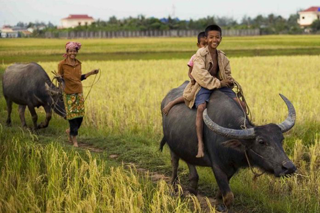 Nếu bạn muốn tho&aacute;t khỏi tiếng ồn để t&igrave;m một nơi y&ecirc;n tĩnh v&agrave; thơ mộng, h&atilde;y thử một lần gh&eacute; thăm&nbsp;Kampot, Campuchia. Kh&ocirc;ng nổi tiếng như Angkor Wat hay lộng lẫy giống b&atilde;i biển Sihanoukville, Kampot hấp dẫn du kh&aacute;ch bởi sự b&igrave;nh y&ecirc;n.
