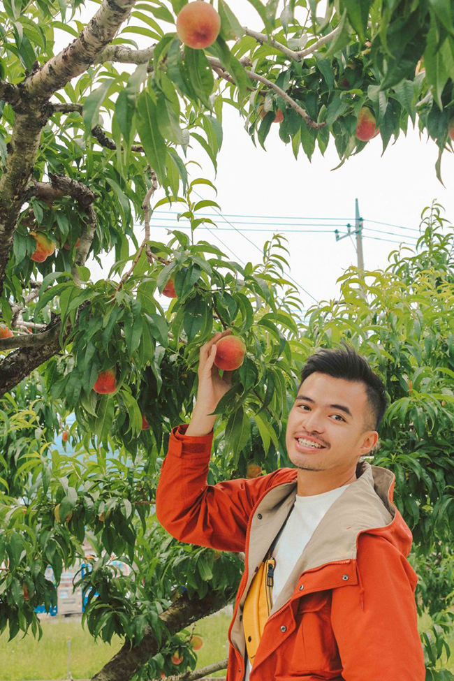 Du kh&aacute;ch nhớ gh&eacute; v&agrave;o tham quan c&ocirc;ng vi&ecirc;n tr&aacute;i c&acirc;y Yamanashi Fuehukigawa để c&oacute; được trải nghiệm đầy th&uacute; vị trong hoạt động h&aacute;i tr&aacute;i c&acirc;y theo m&ugrave;a. Yamanashi được coi l&agrave; vườn tr&aacute;i c&acirc;y của cả nước Nhật với nhiều loại tr&aacute;i c&acirc;y được trồng quanh năm.

