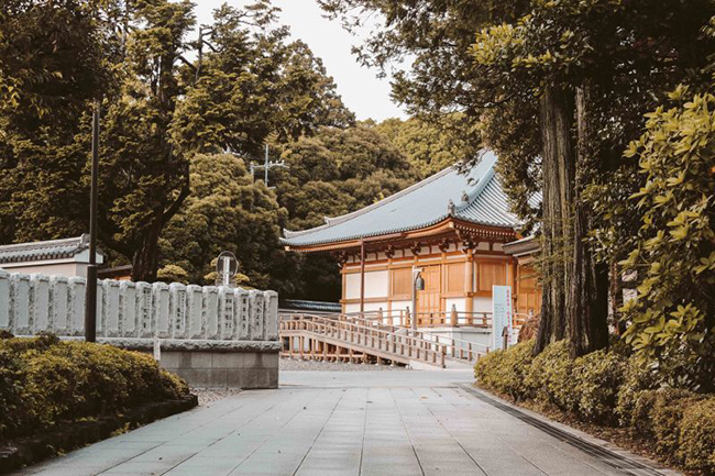 Nơi n&agrave;y diện t&iacute;ch rất lớn, để đi bộ v&agrave; kh&aacute;m ph&aacute; hết khu đền bạn sẽ cần cả ng&agrave;y.
