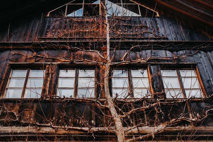 10. Những c&aacute;i c&acirc;y kh&ocirc; trơ trọi l&aacute; n&eacute;p m&igrave;nh b&ecirc;n cạnh c&aacute;c ng&ocirc;i nh&agrave; cổ tạo n&ecirc;n một bức ảnh đậm chất ho&agrave;i cổ.
