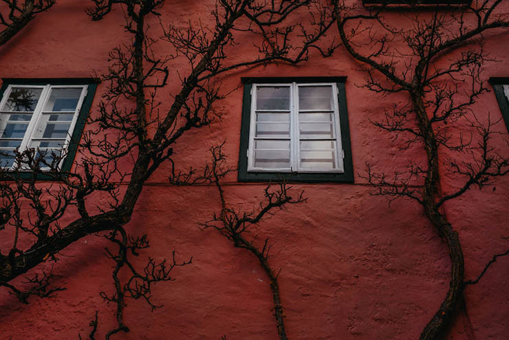 12. Nếu để &yacute; kỹ, bạn sẽ nh&igrave;n thấy c&oacute; rất nhiều c&aacute;i c&acirc;y c&oacute; h&igrave;nh d&aacute;ng độc đ&aacute;o, leo b&aacute;m v&agrave;o c&aacute;c bức tường m&agrave;u gạch đỏ, tạo n&ecirc;n một cảm gi&aacute;c rất ma mị.
