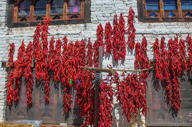 Ẩm thực Bhutan lấy vị cay l&agrave;m hương vị ch&iacute;nh v&agrave; c&aacute;c m&oacute;n ăn truyền thống ở đ&acirc;y c&oacute; rất nhiều ớt bột hoặc ớt xay kh&ocirc;. Hầu hết mọi gia đ&igrave;nh ở Bhutan thường treo những d&acirc;y ớt (ristras) l&ecirc;n tường trắng của họ để phơi kh&ocirc; sau khi thu hoạch.
