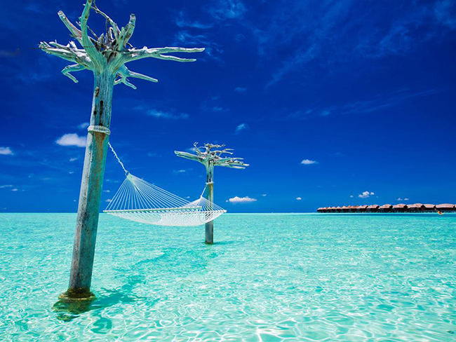 Thi&ecirc;n đường Maldives v&ocirc; c&ugrave;ng hấp dẫn đối với nhiều du kh&aacute;ch, kh&ocirc;ng chỉ bởi phong cảnh tuyệt đẹp m&agrave; bởi những dịch vụ rất ho&agrave;n hảo trong c&aacute;c khu nghỉ dưỡng tại đ&oacute;. &nbsp;