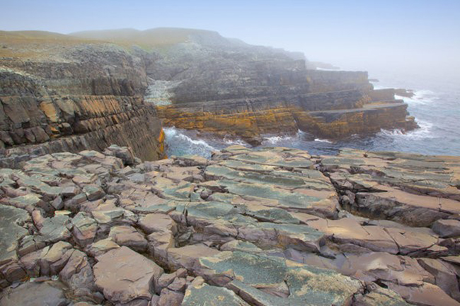 Mistaken Point, Canada: Những v&aacute;ch đ&aacute; gồ ghề tr&ecirc;n biển n&agrave;y được đặt t&ecirc;n theo lớp sương m&ugrave; thường xuy&ecirc;n bao phủ bờ biển đ&aacute;, che mắt c&aacute;c thủy thủ kh&ocirc;ng nh&igrave;n thấy c&aacute;c mối nguy hiểm gần bờ. Bờ biển n&agrave;y cũng chứa một số tổ hợp h&oacute;a thạch lớn được biết đến l&acirc;u đời nhất tr&ecirc;n thế giới, với một số c&oacute; ni&ecirc;n đại c&aacute;ch đ&acirc;y 560 triệu năm.
