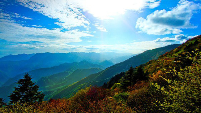 Shennongjia, Hồ Bắc, Trung Quốc: Hai địa điểm n&agrave;y bảo vệ c&aacute;c khu rừng cổ thụ ở miền trung-đ&ocirc;ng Trung Quốc v&agrave; l&agrave; nơi sinh sống của một số lo&agrave;i động vật qu&yacute; hiếm nhất của đất nước, bao gồm kỳ gi&ocirc;ng khổng lồ Trung Quốc, khỉ mũi v&agrave;ng hoặc khỉ mũi hếch, b&aacute;o gấm v&agrave; gấu đen ch&acirc;u &Aacute;.
