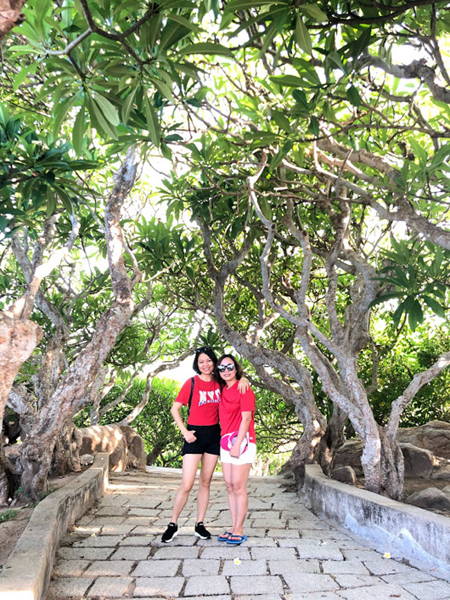 Lối đi dẫn tới ngọn hải đăng l&agrave; hai h&agrave;ng hoa sứ xanh m&aacute;t tỏa b&oacute;ng quanh năm. B&ecirc;n trong hải đăng l&agrave; gần 200 bậc thang xoắn ốc đưa lối du kh&aacute;ch tới đến đỉnh đ&egrave;n.
