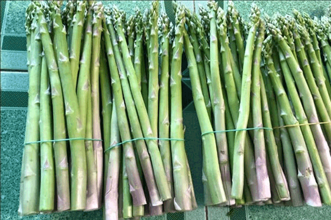 15. Măng t&acirc;y: Theo một nghi&ecirc;n cứu cho thấy, chiết xuất từ ​​măng t&acirc;y nhiều hơn gấp 2 lần hiệu quả của một số enzyme gi&uacute;p ph&aacute; vỡ rượu v&agrave; cũng bảo vệ c&aacute;c tế b&agrave;o gan khỏi bị hư hại.
