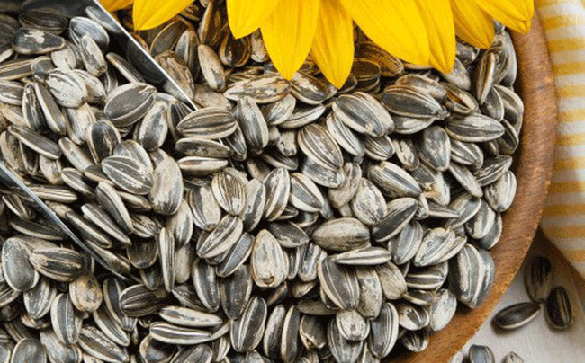 9. Hạt hướng dương: Loại hạt n&agrave;y chứa nhiều vitamin E, một chất chống oxy h&oacute;a c&oacute; thể bảo vệ gan khỏi bị tổn thương.

